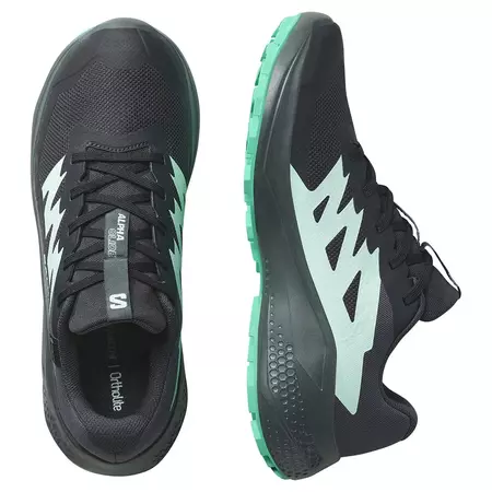 Tênis Salomon Alphaglide GTX W Preto/Verde