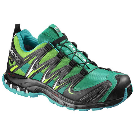 Sapato Salomon XA PRO 3D GTX W verde / preto