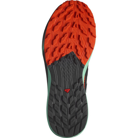 Sapato Salomon Sense Ride 5 preto/verde/vermelho