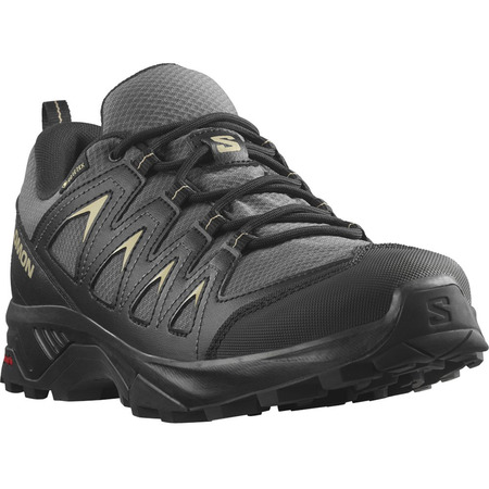 Sapato Salomon X Braze GTX cinza/preto/mostarda