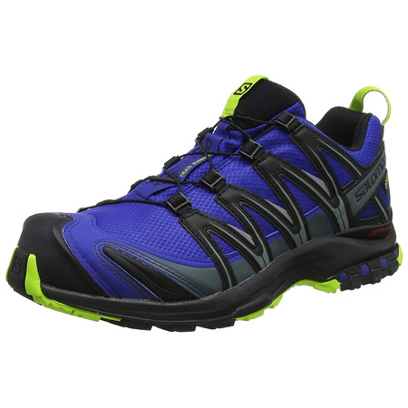 Sapatos Salomon XA PRO 3D GTX Azul / Preto / Lima