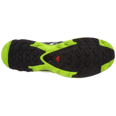 Sapatos Salomon XA Pro 3D GTX Verde Lima / Preto