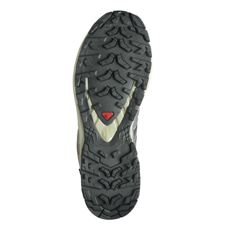 Tênis Salomon XA PRO 3D GTX Violeta/Bege