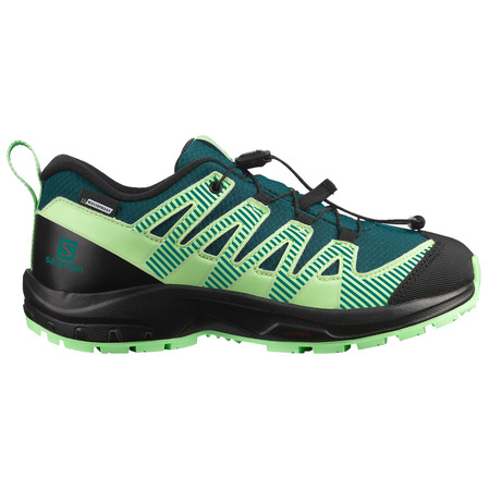 Sapato Verde Salomon XA PRO 3D V8 J