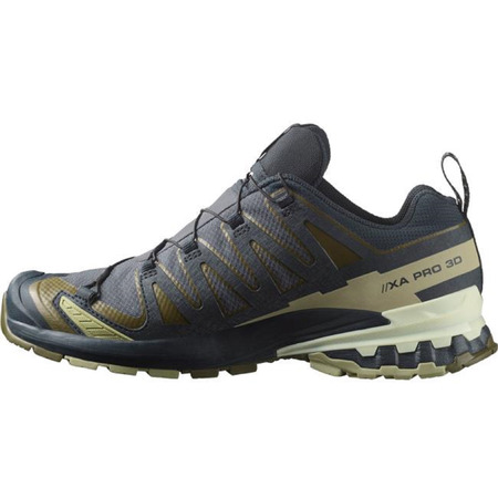 Sapato Salomon XA Pro 3D V9 GTX cinza/oliva
