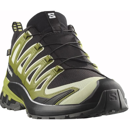 Sapato Salomon XA PRO 3D V9 GTX preto/verde