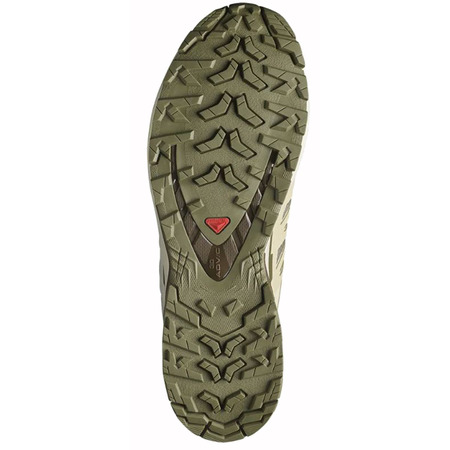 Sapato Salomon XA PRO 3D V9 GTX Verde/Bege