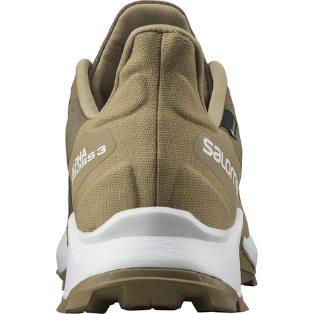 Sapatos Salomon Alphacross 3 GTX Marrom / Bege