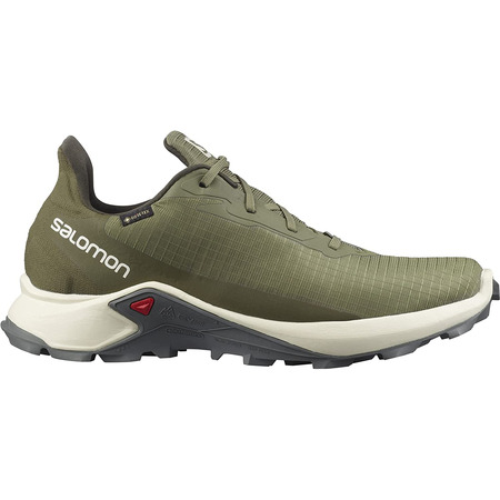 Sapatos verdes Salomon Alphacross 3 GTX
