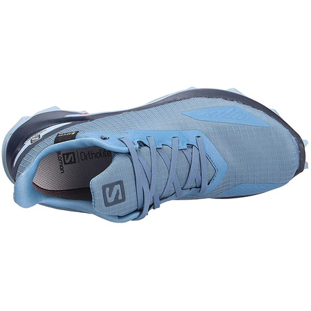 Sapatos Salomon Alphacross GTX W Azul