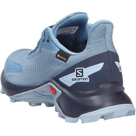 Sapatos Salomon Alphacross GTX W Azul