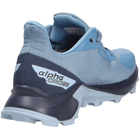 Sapatos Salomon Alphacross GTX W Azul