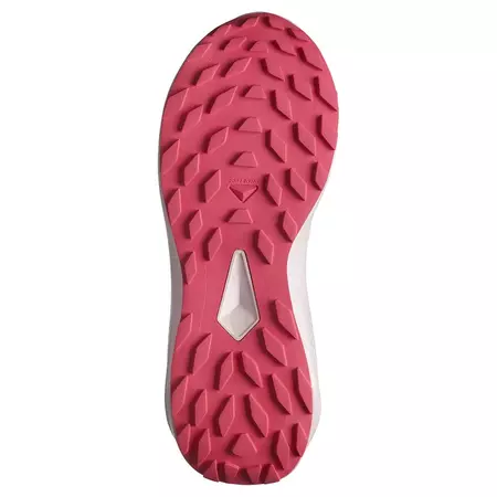 Tênis Salomon Alphaglide GTX W Cinza/Preto/Fúcsia