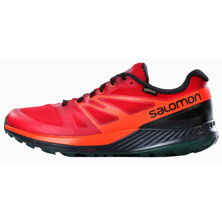 Sapatos Salomon Sense Escape GTX Marrom / Vermelho