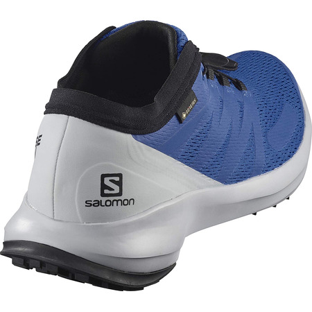 Sapatos azuis Salomon Sense Flow GTX