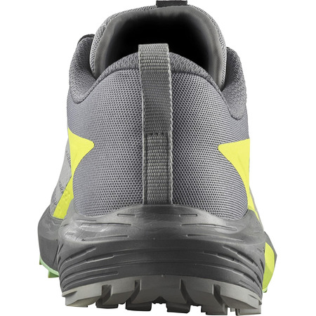 Sapatos Salomon Sense Ride 5 cinza/limão