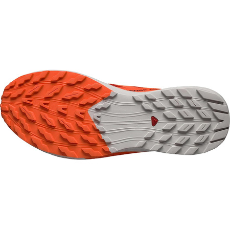 Sapatos Salomon Sense Ride 5 vermelho/laranja