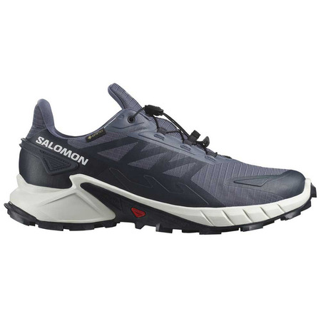 Ténis Salomon Supercross 4 GTX cinzento