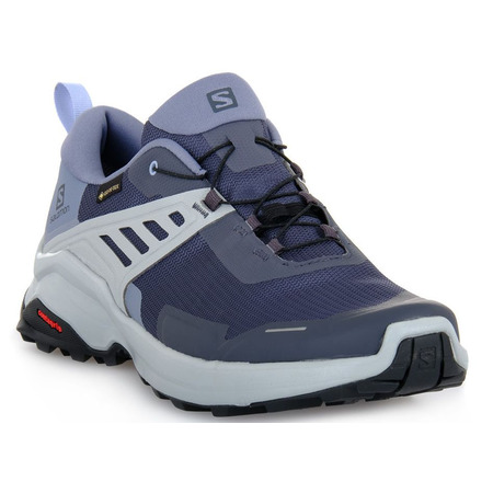 Sapatos Marinhos Salomon X Raise GTX