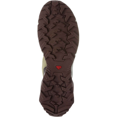 Sapatos Salomon X Reveal Creme