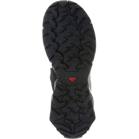 Salomon X Reveal GTX W Shoes Preto / Cinza