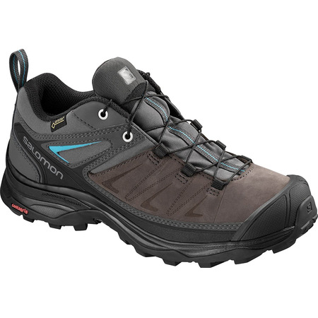 Sapatos Salomon X Ultra 3 LTR GTX W Marrom / cinza