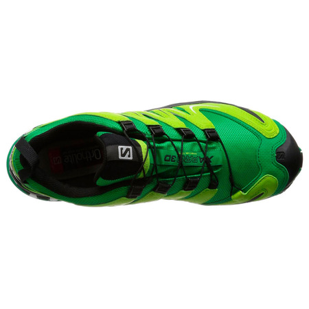 Sapatos Salomon XA PRO 3D GTX Verde / Preto / Lima