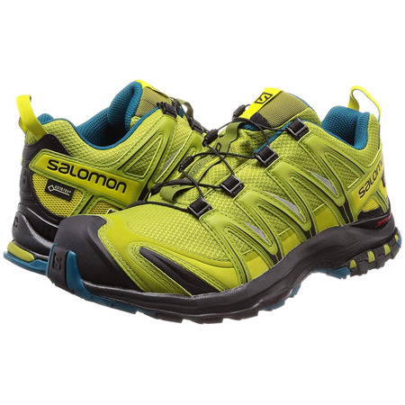 Sapatos Salomon XA PRO 3D GTX Pistache Verde / Azul