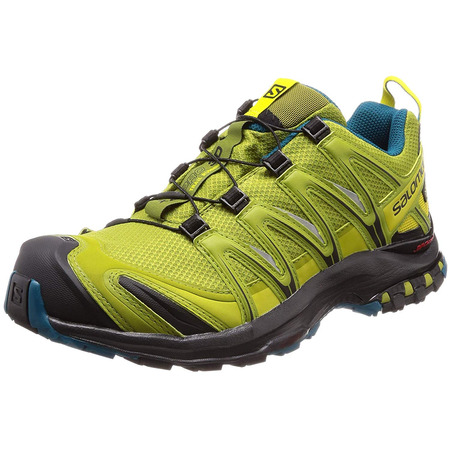 Sapatos Salomon XA PRO 3D GTX Pistache Verde / Azul