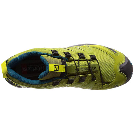 Sapatos Salomon XA PRO 3D GTX Pistache Verde / Azul