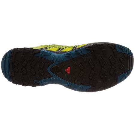 Sapatos Salomon XA PRO 3D GTX Pistache Verde / Azul