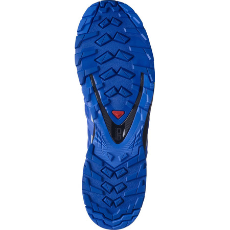 Sapatos Salomon XA PRO 3D V8 GTX azul / cinza