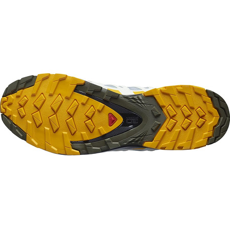 Sapatos Salomon XA PRO 3D V8 GTX cinza/mostarda