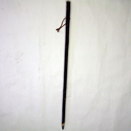 Cajado de peregrino, menino castanho corteza