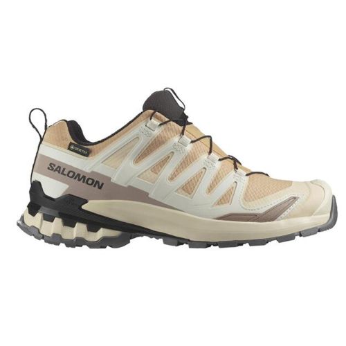 Tênis de corrida Salomon XA Pro 3D V9 GTX W bege/marrom
