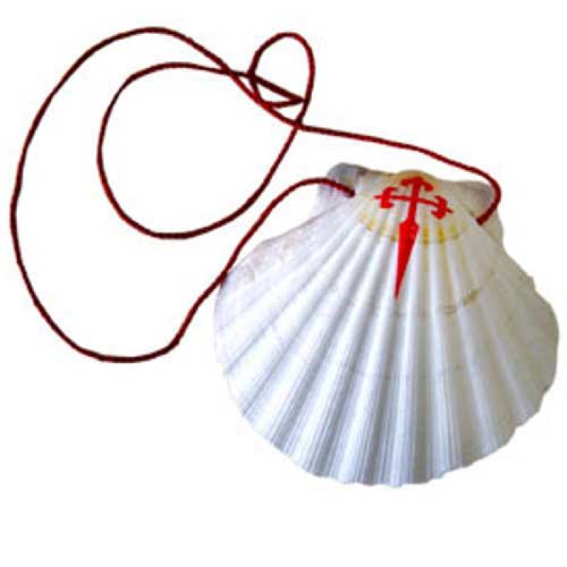 100 Vieiras - Conchas de Peregrinos com Cruz