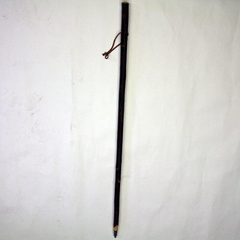 Cajado de peregrino, menino castanho corteza