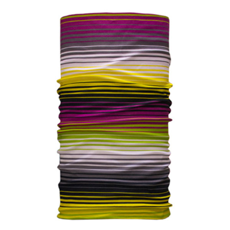 Código Vento de Braga 1124