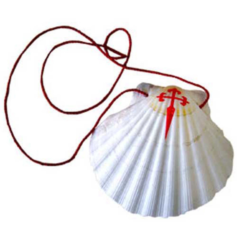 Vieira - Concha de Peregrino