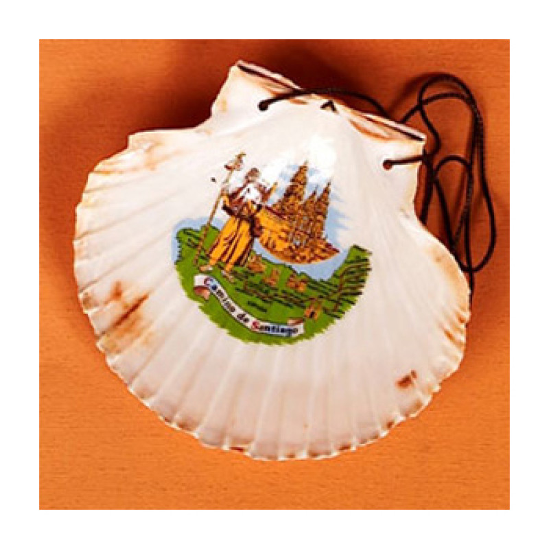 Vieira do Peregrino 7 cm.