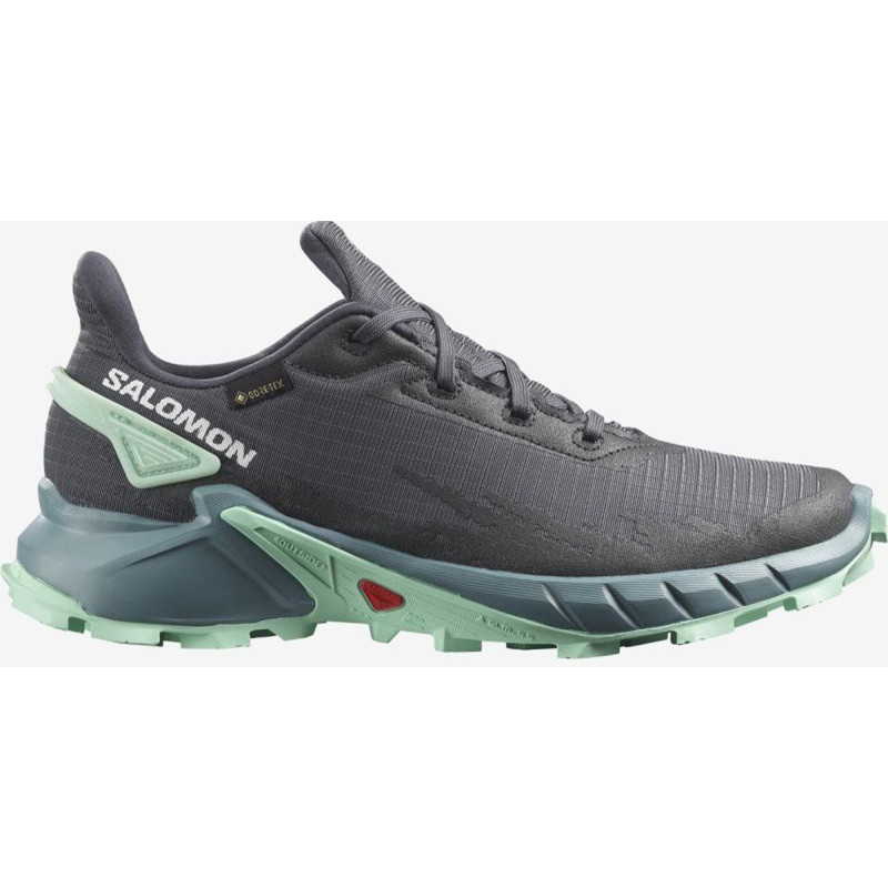 Sapato Salomon Alphacross 4 GTX W cinza/turquesa