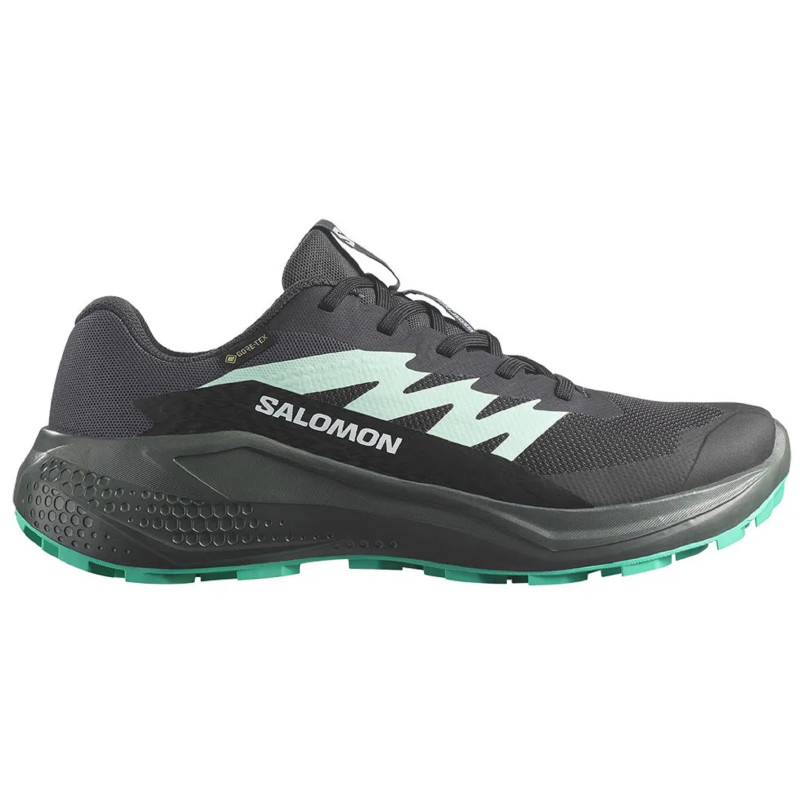 Tênis Salomon Alphaglide GTX W Preto/Verde