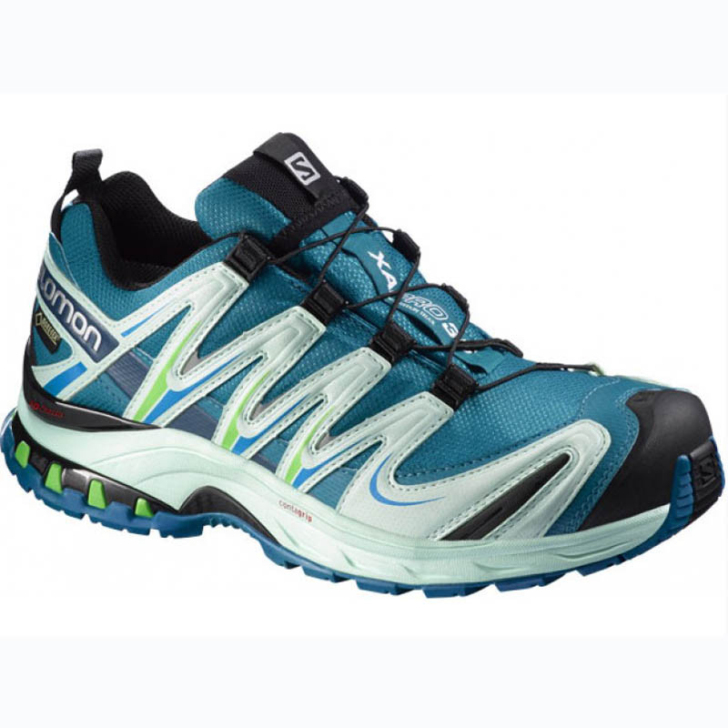 Salomon XA PRO 3D GTX W azul / bege / calçado