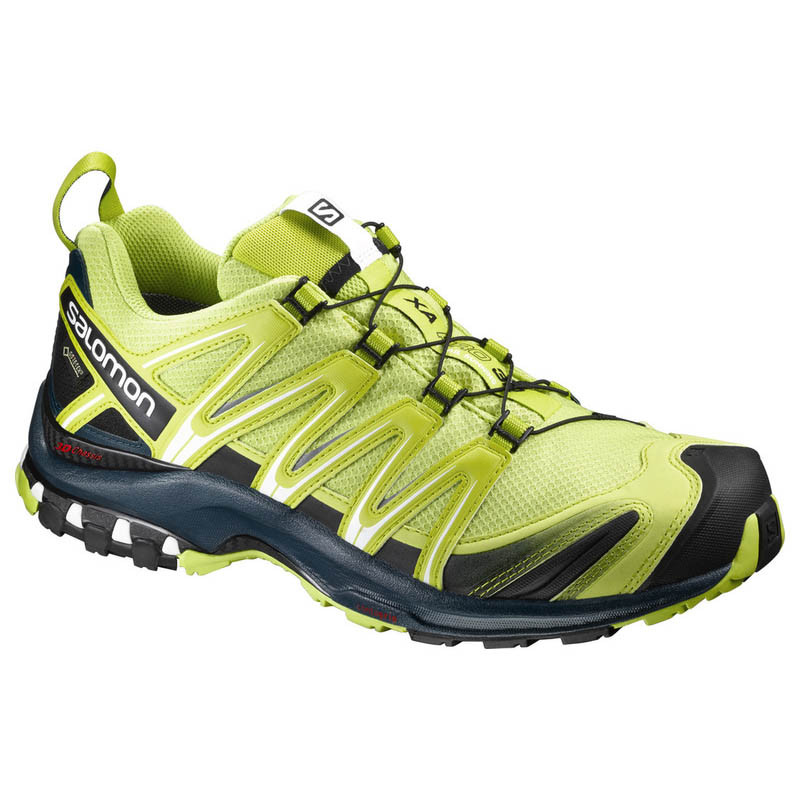 Salomon XA PRO 3D GTX sapato pistache verde