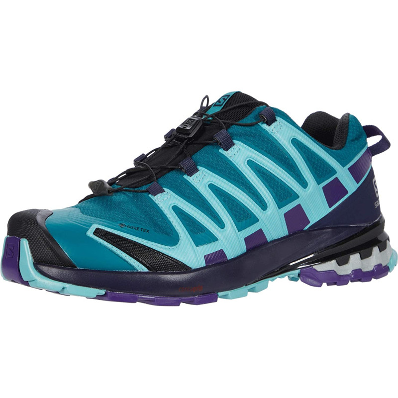 Sapato Salomon XA PRO 3D V8 GTX Aquamarine / Violet