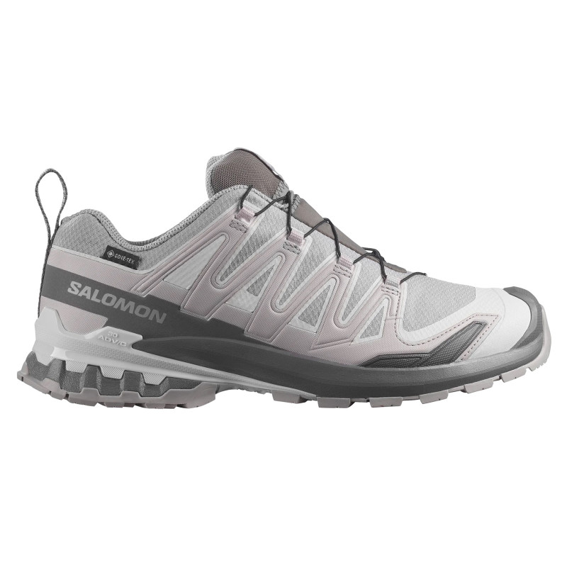 Zapatilla Salomon XA PRO 3D V9 GTX Gris