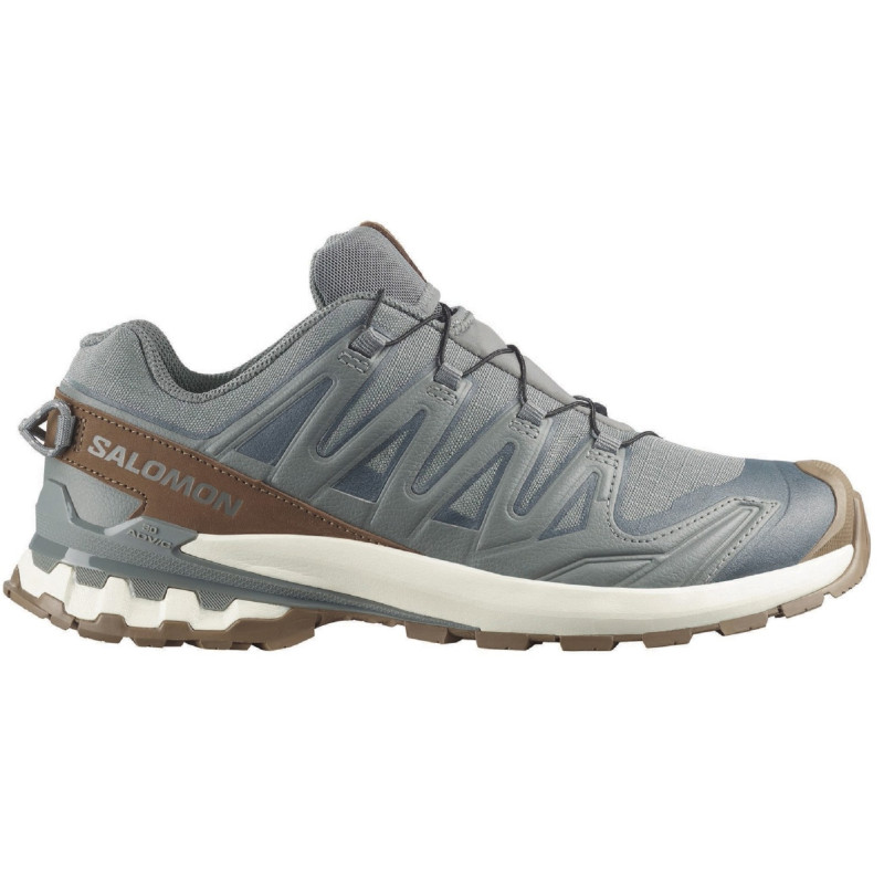 Zapatilla Salomon XA PRO 3D V9 GTX Lifelong Gris/Marrón