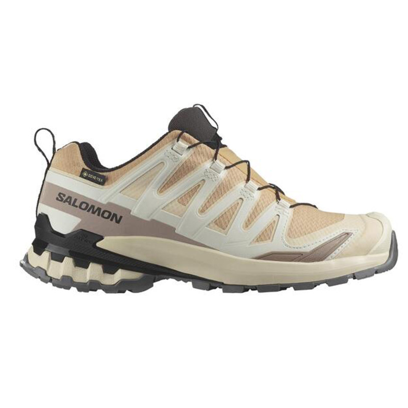 Tênis de corrida Salomon XA Pro 3D V9 GTX W bege/marrom
