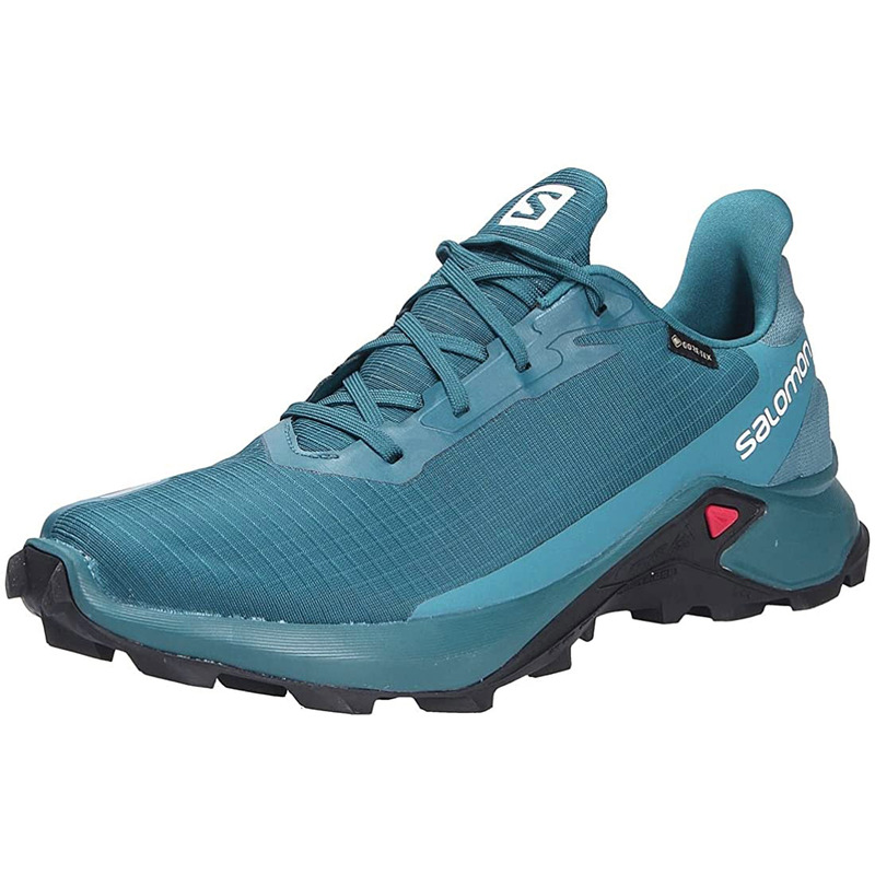 Sapatos Salomon Alphacross 3 GTX Verde Aqua