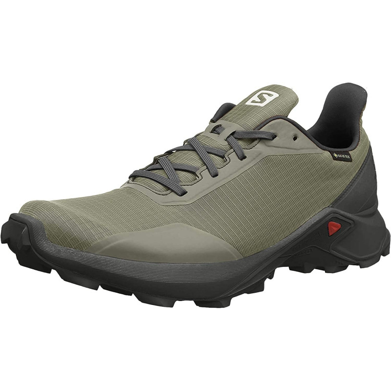 Zapatillas Salomon Alphacross GTX Gris / Kaki